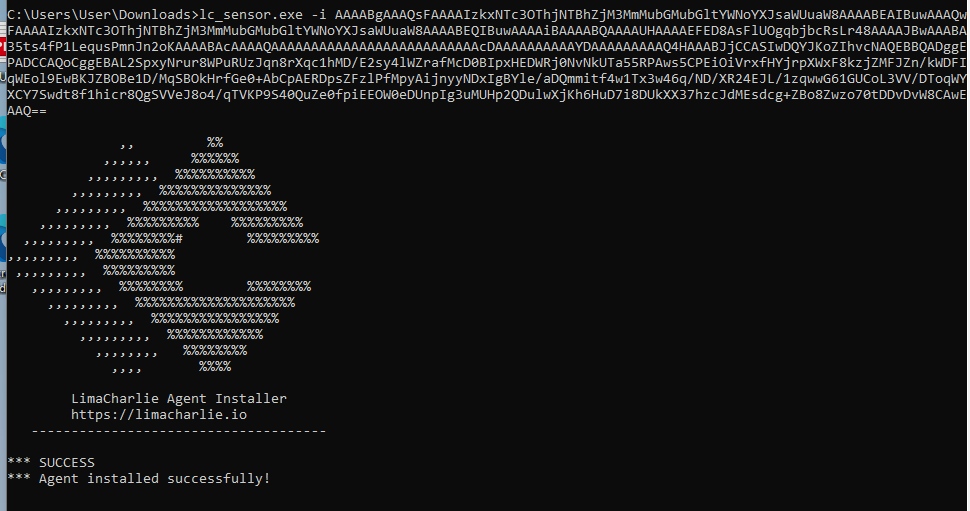 LimaCharlie Installation Screenshot