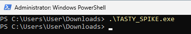 LimaCharlie Installation Screenshot