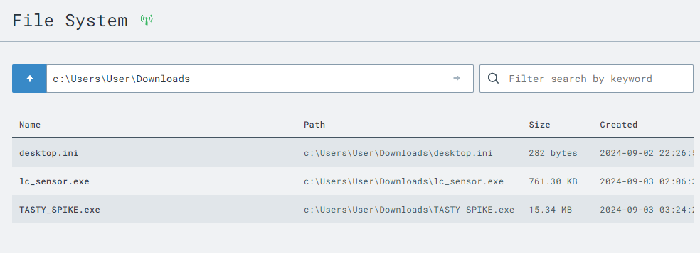 LimaCharlie Installation Screenshot