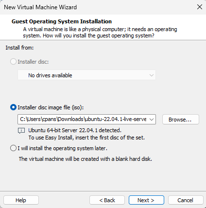 Windows VM Setup Screenshot