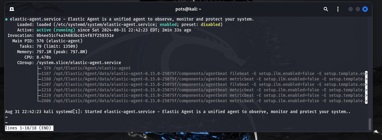 Kali Linux VM Installation Screenshot